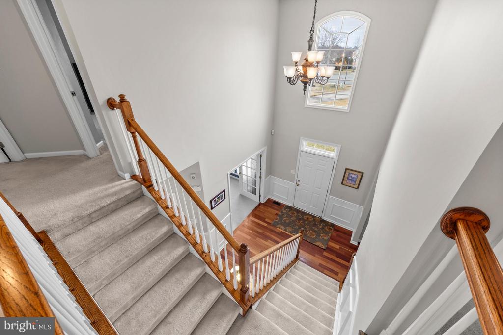 205 Shetland Ct