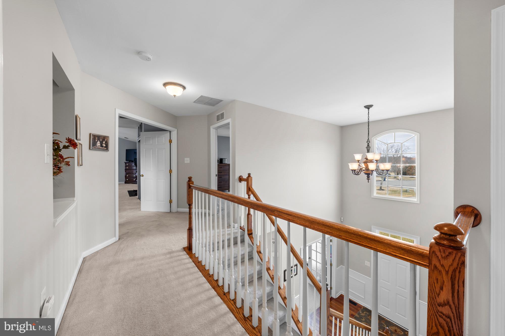 205 Shetland Ct