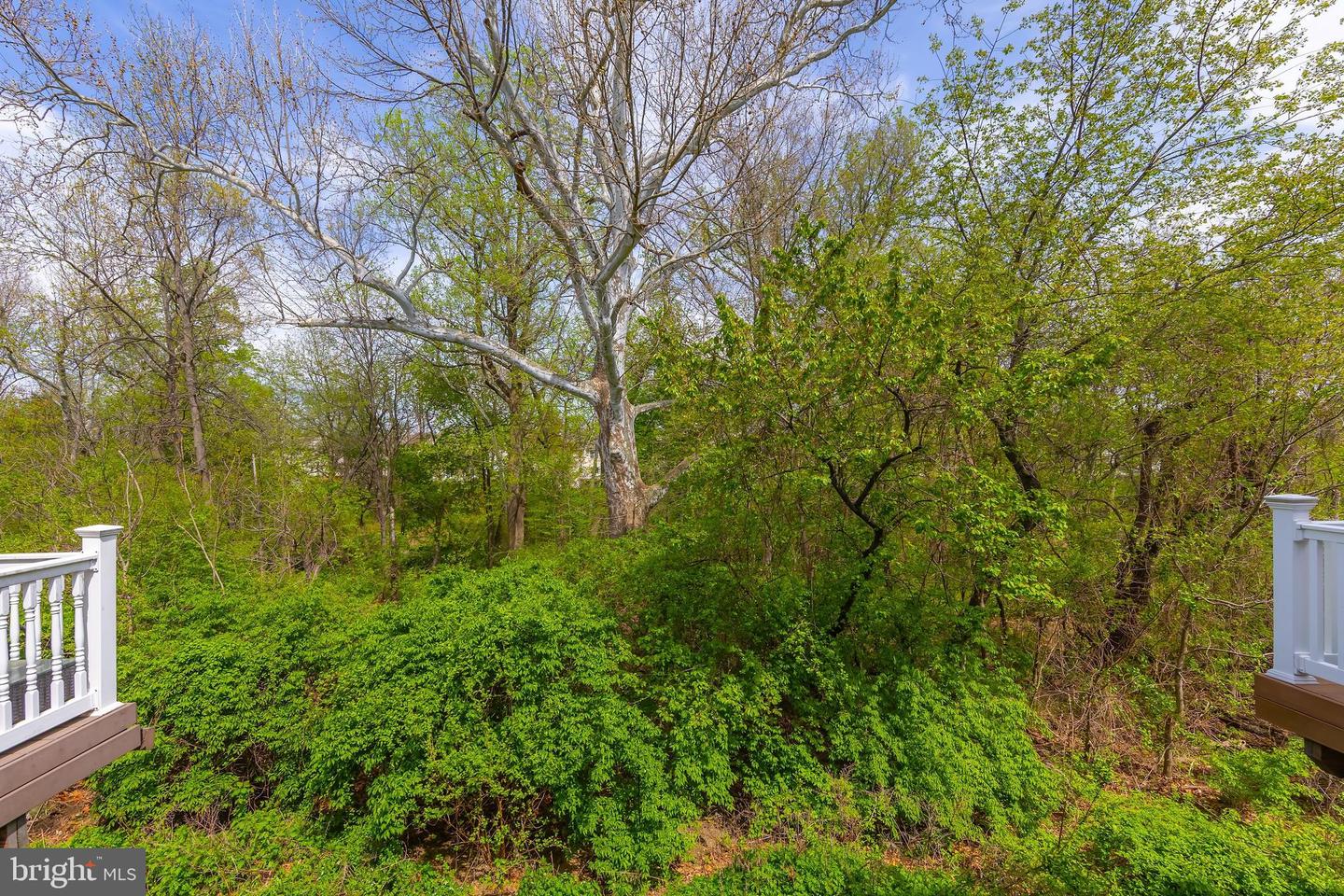 631 Sweetgum Ln