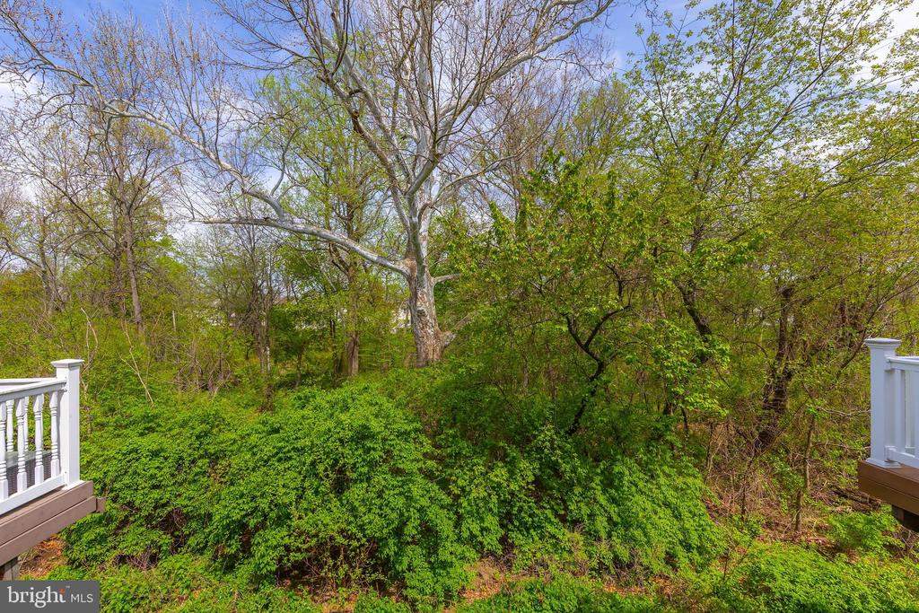 631 Sweetgum Ln