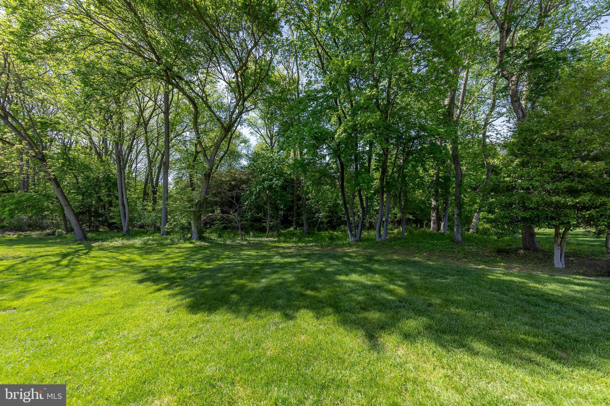 403 Village Ct