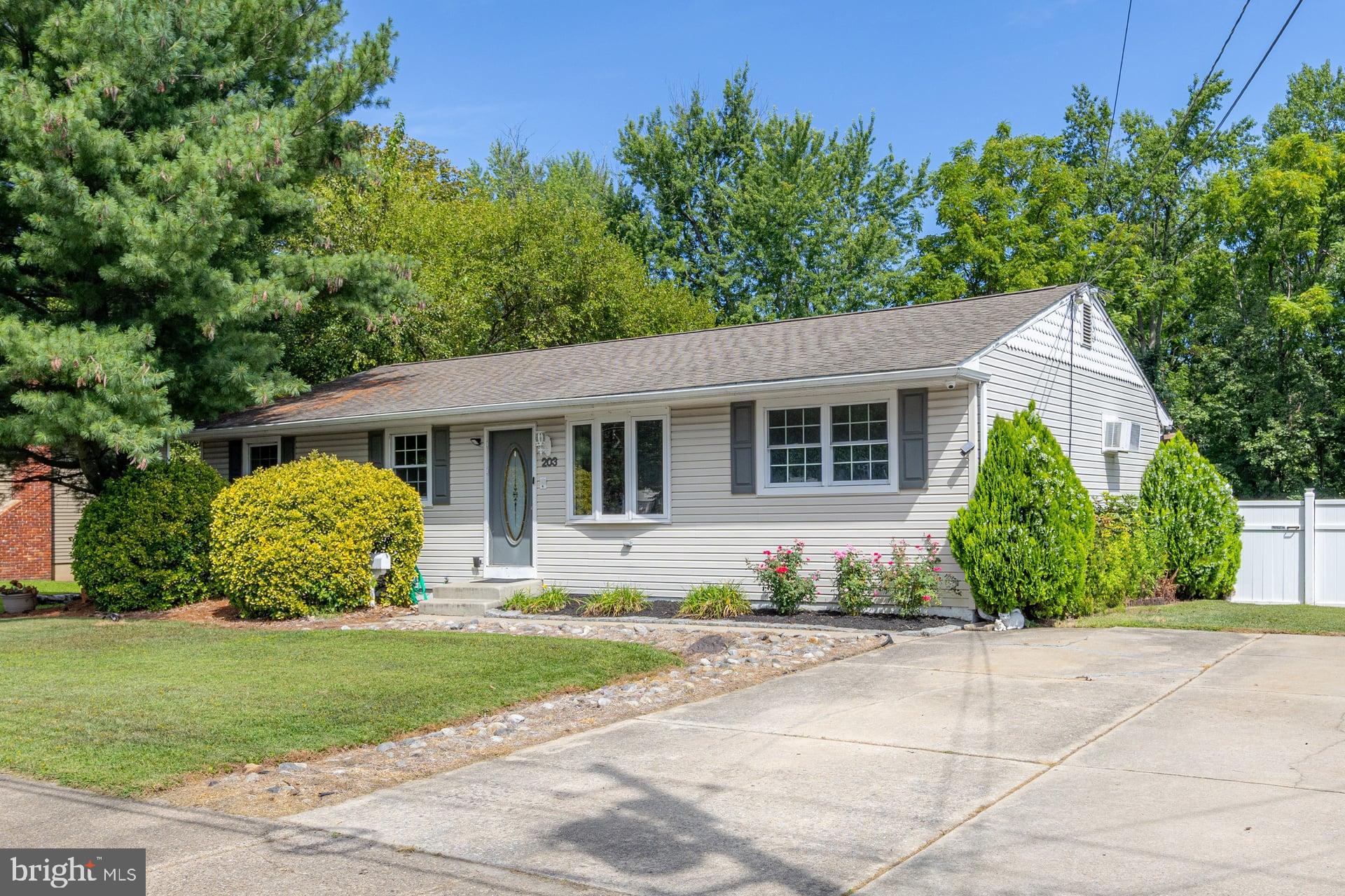 203 CENTRAL AVENUE