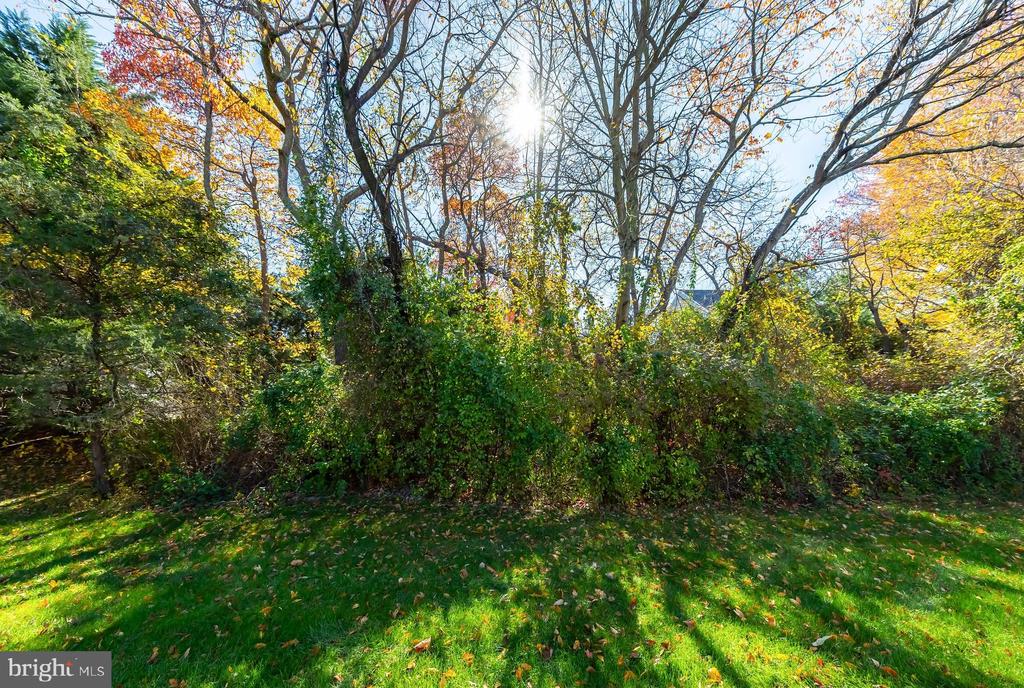 730 CHICKORY TRAIL