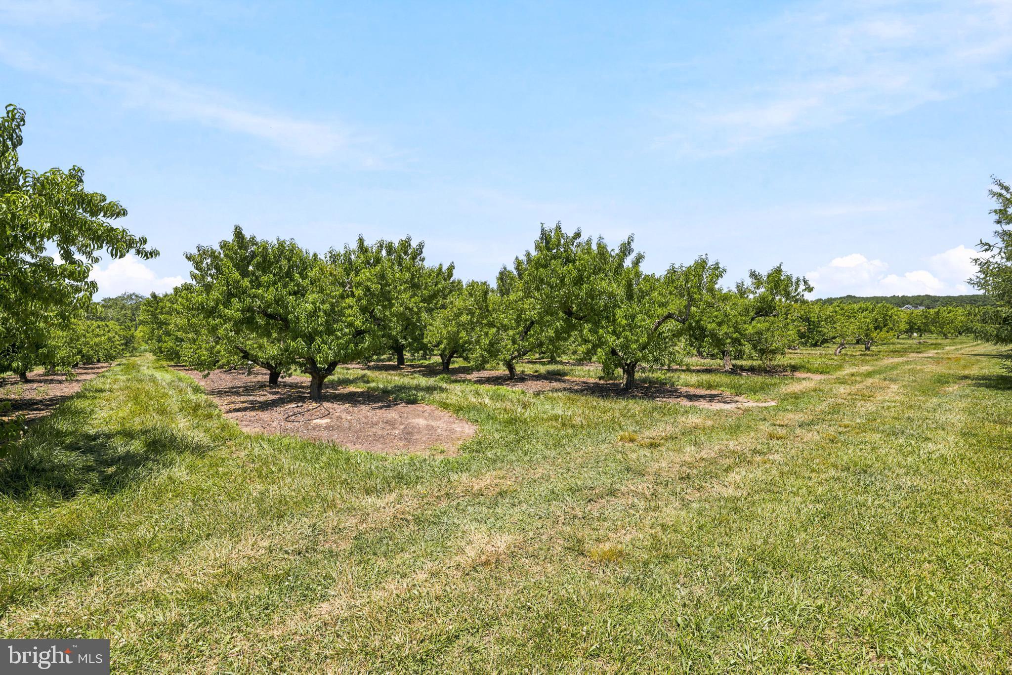 118 FIELD LOOP