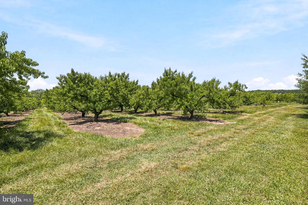 118 FIELD LOOP