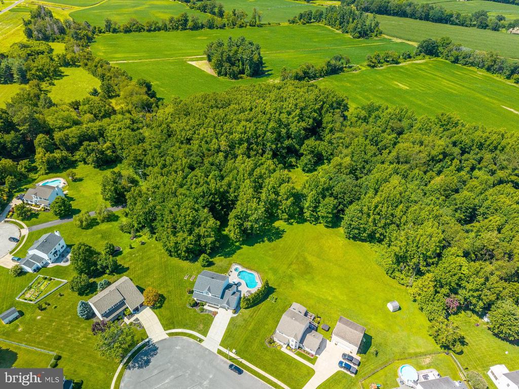 304 DAVID COURT
