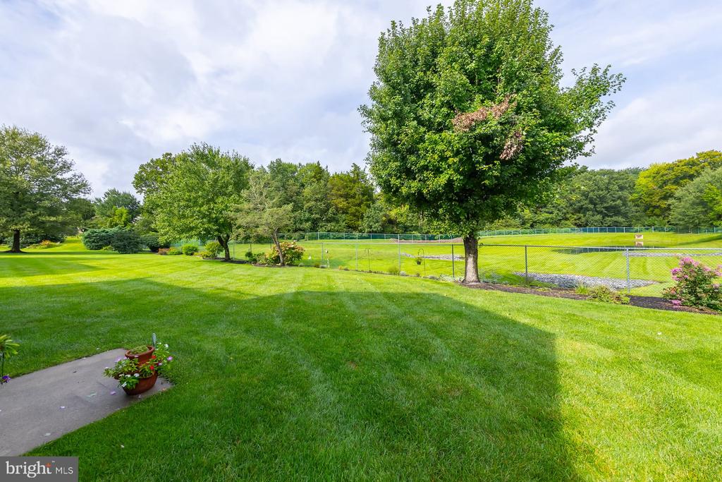 317 CHICKORY TRAIL