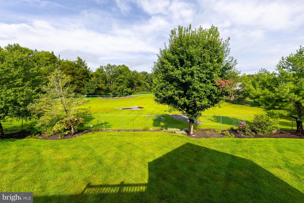 317 CHICKORY TRAIL