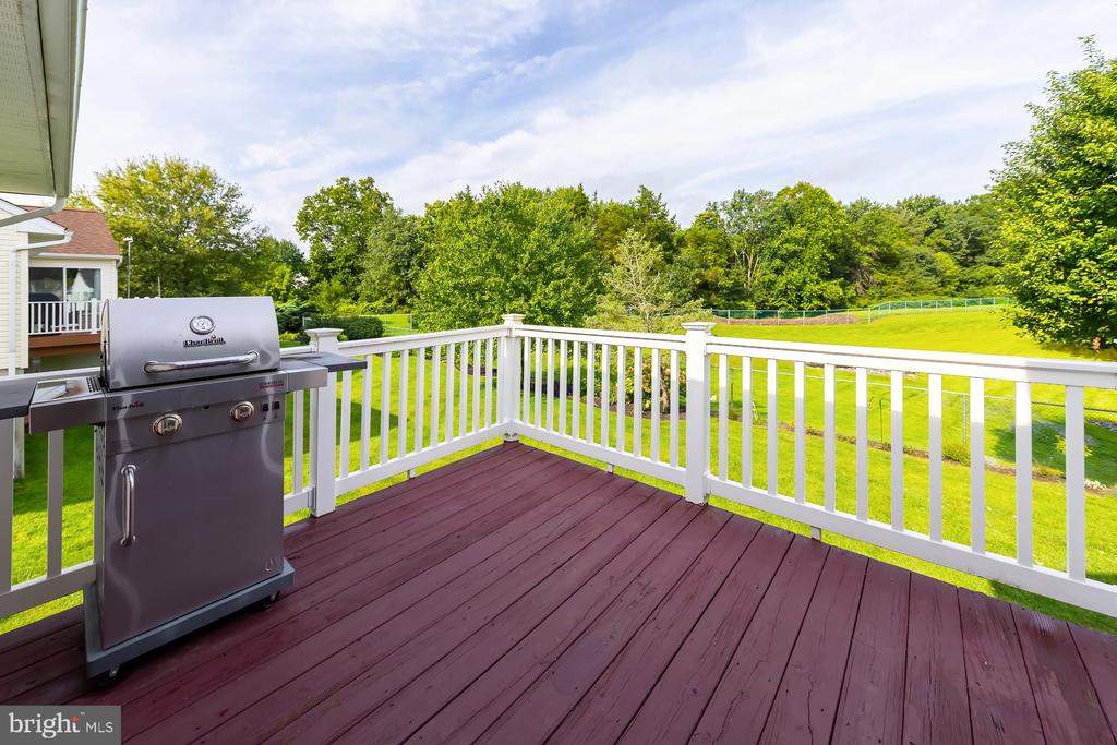 317 CHICKORY TRAIL