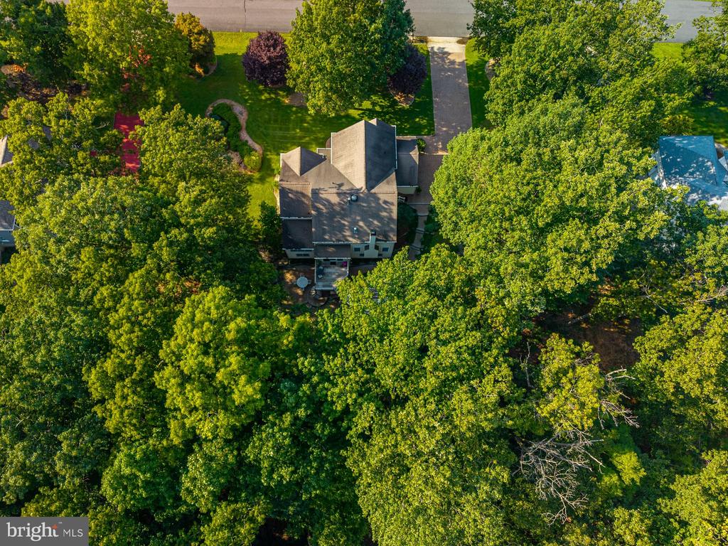 10 LANGE COURT