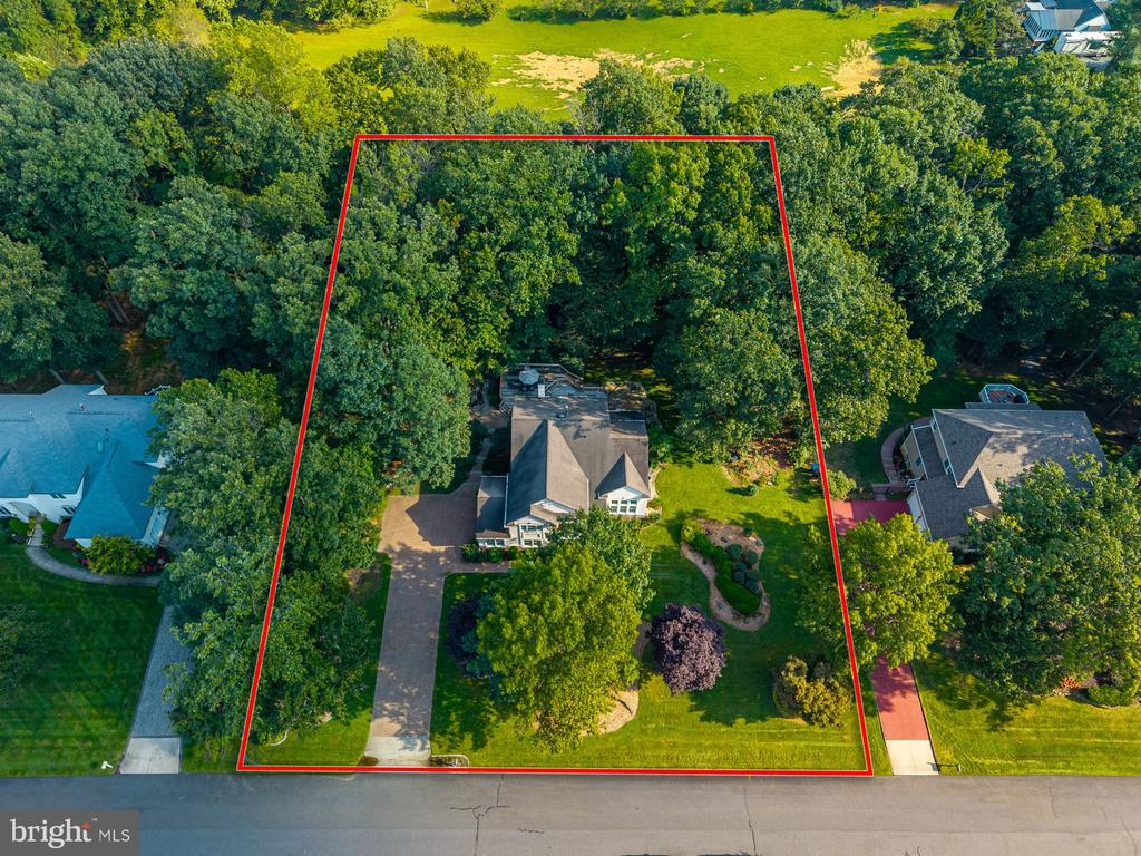 10 LANGE COURT