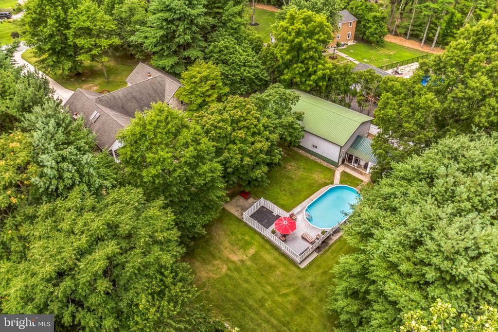 10 FORSYTHIA LANE