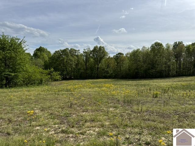 000 Dunlap Rd.