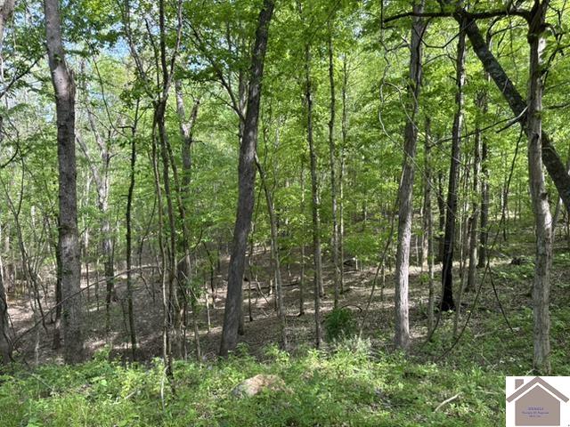000 Dunlap Rd.