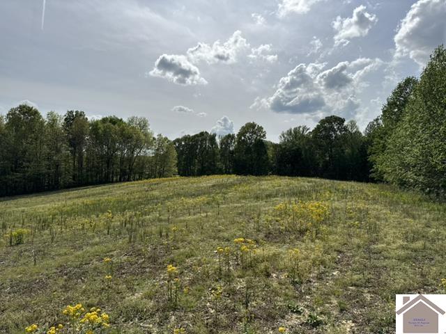 000 Dunlap Rd.