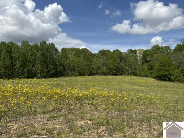 000 Dunlap Rd.