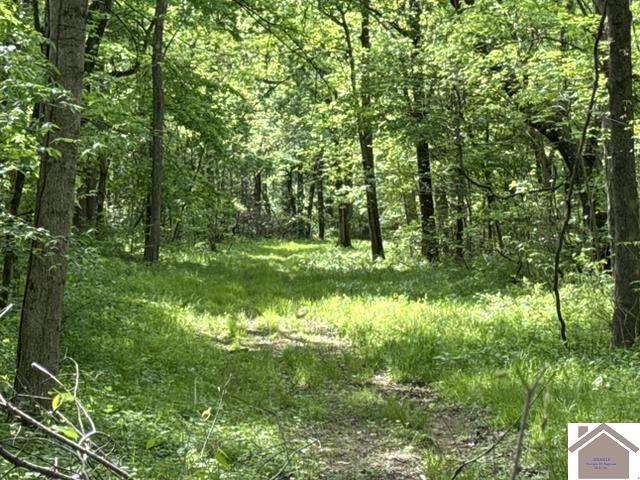 000 Dunlap Rd.