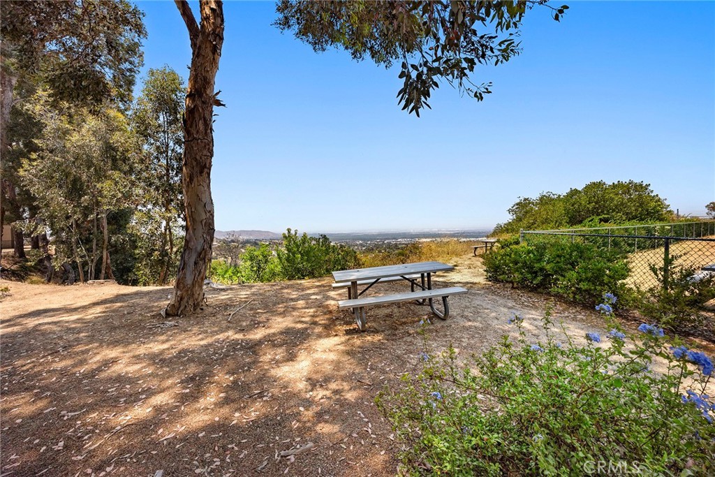 2548 Avenida Del Vista 101