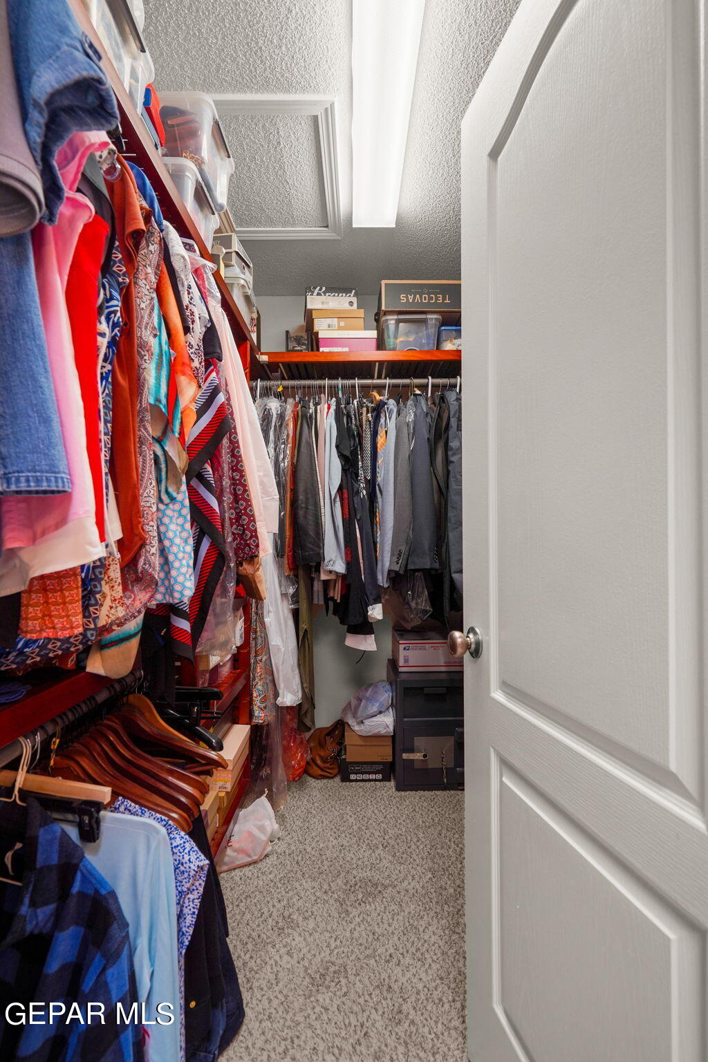 7097 Century Plant Drive