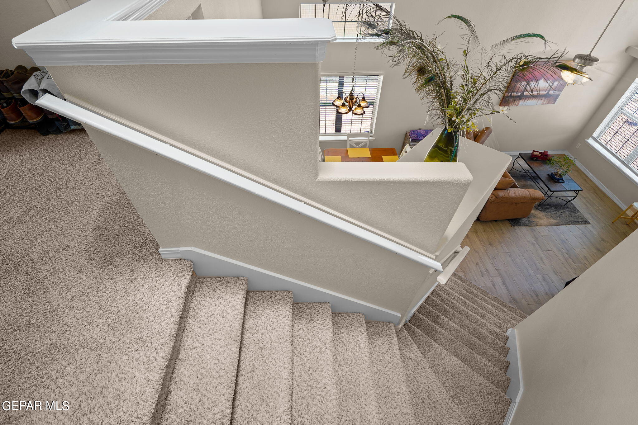 7097 Century Plant Drive