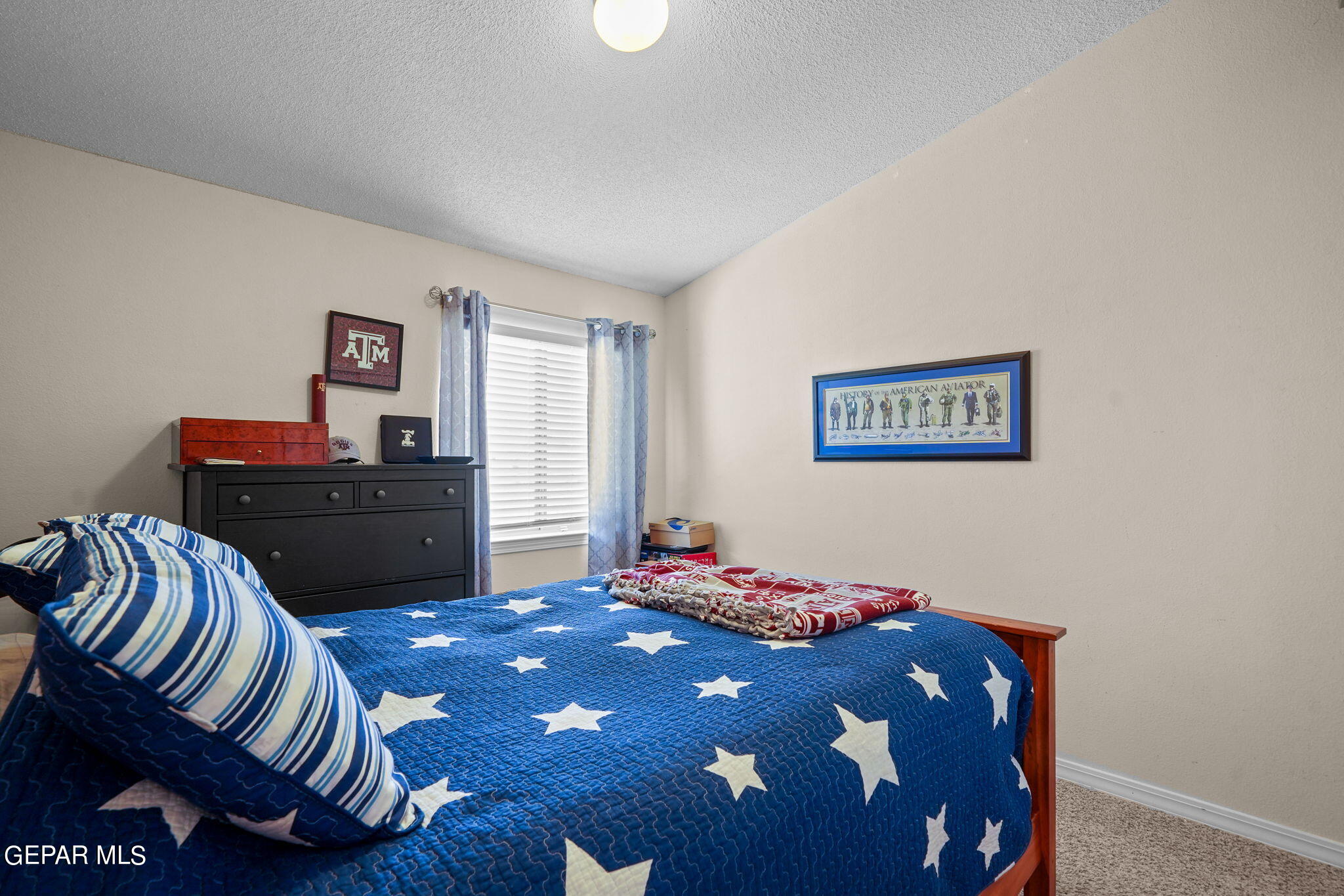 7097 Century Plant Drive