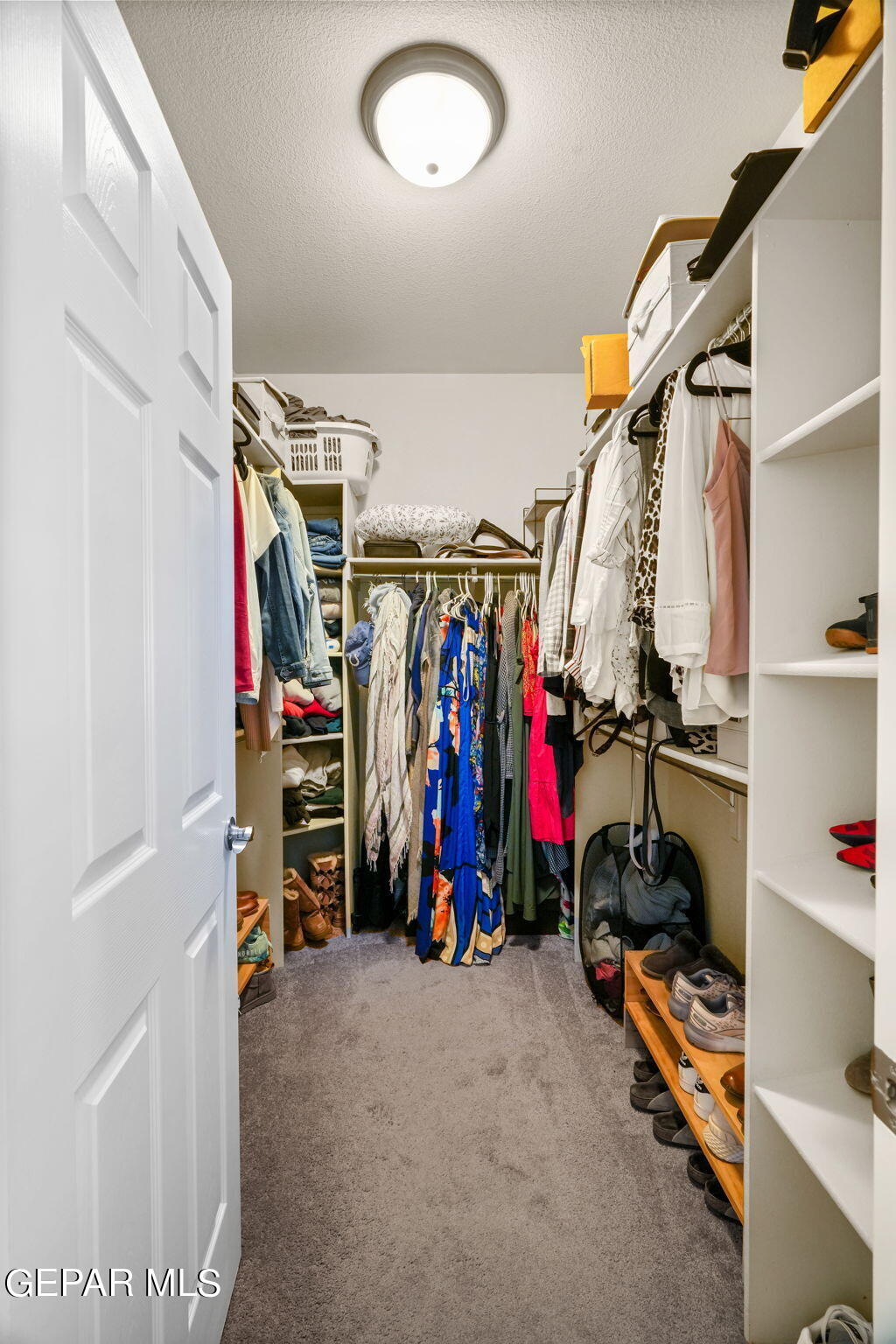 3127 Blue Dirt Circle