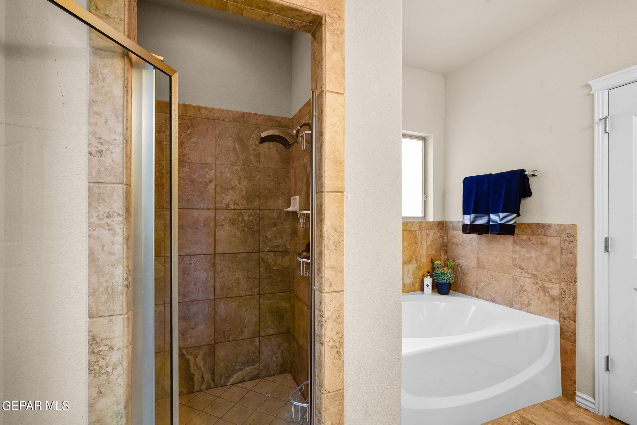 7320 Autumn Sage Drive