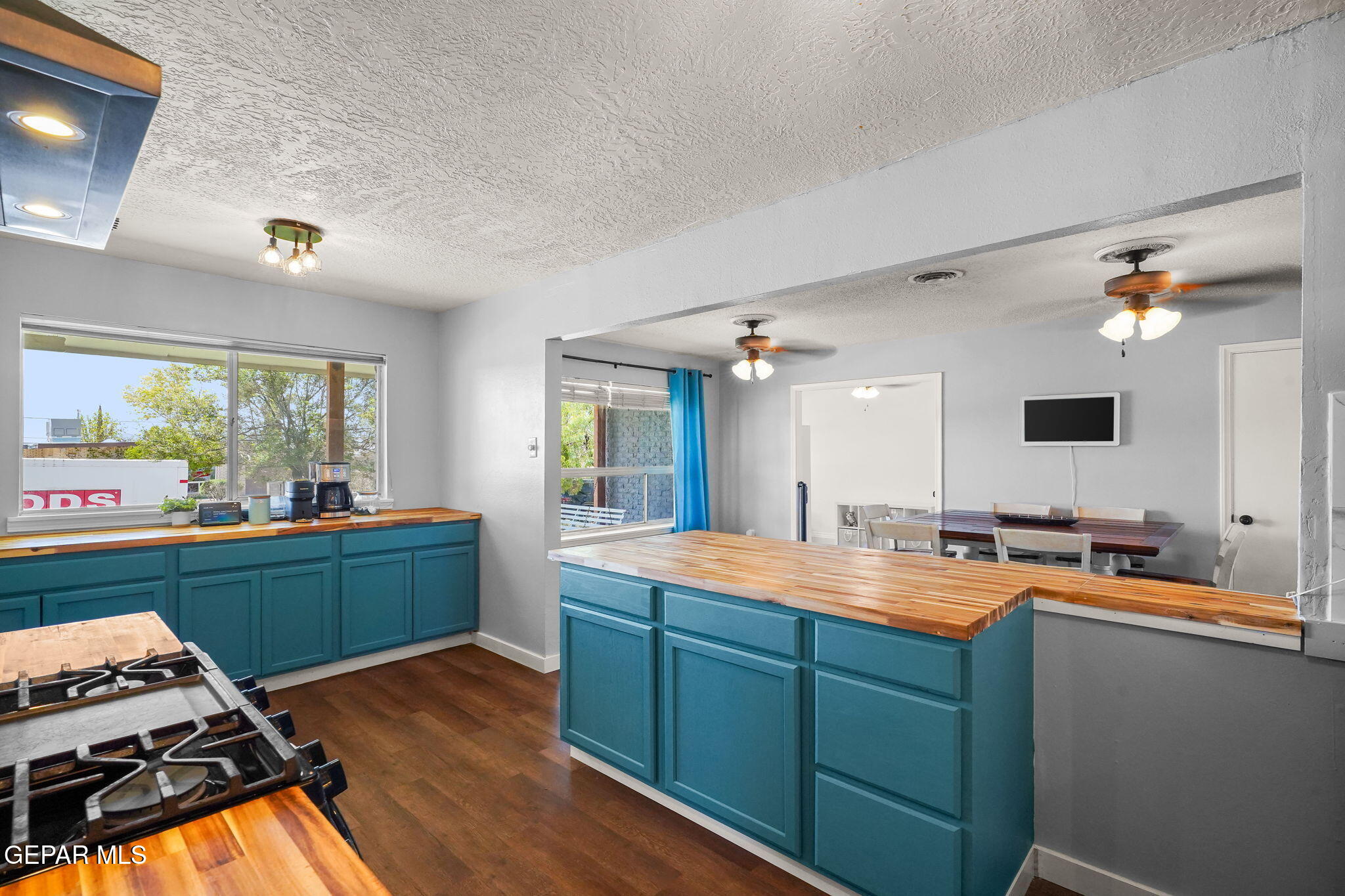 217 VIKING Drive