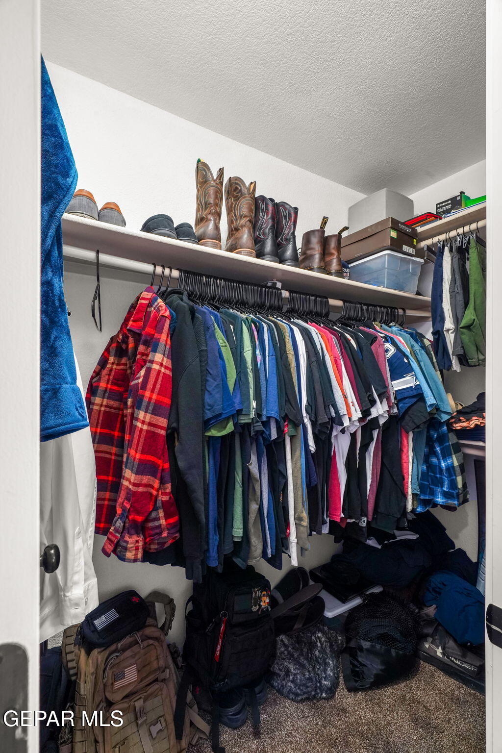 14195 RANIER POINT Drive