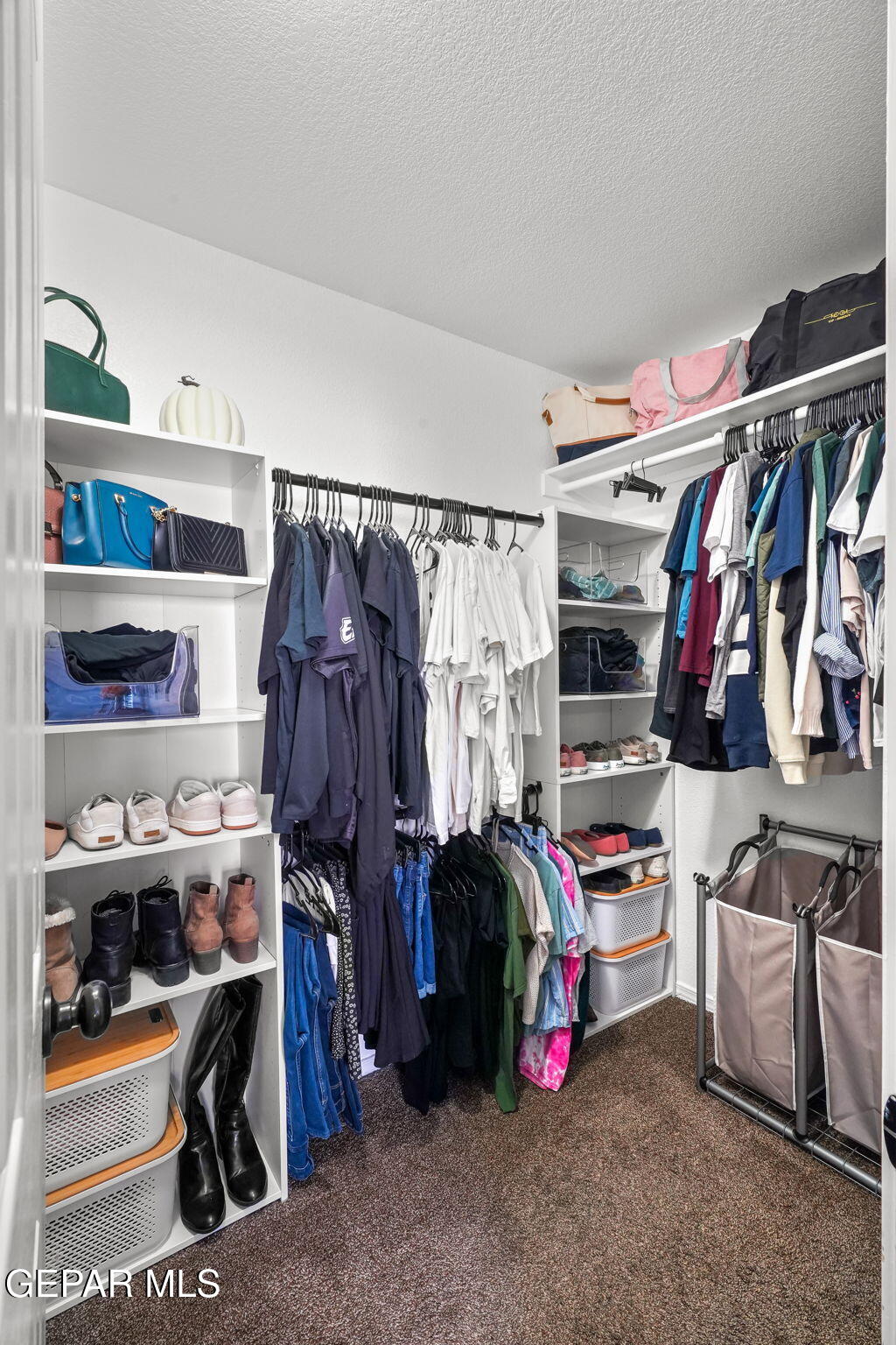 14195 RANIER POINT Drive