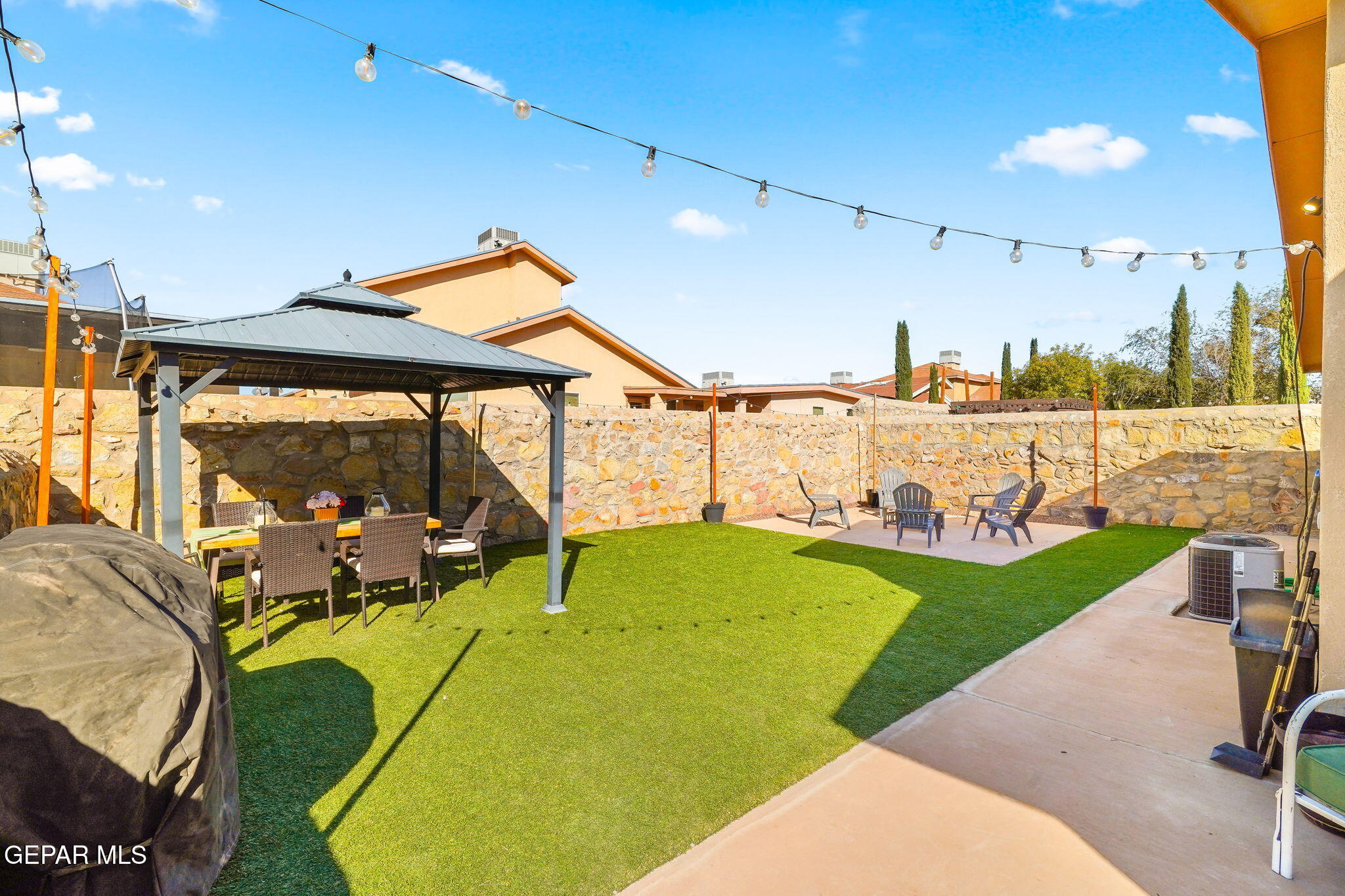 14195 RANIER POINT Drive