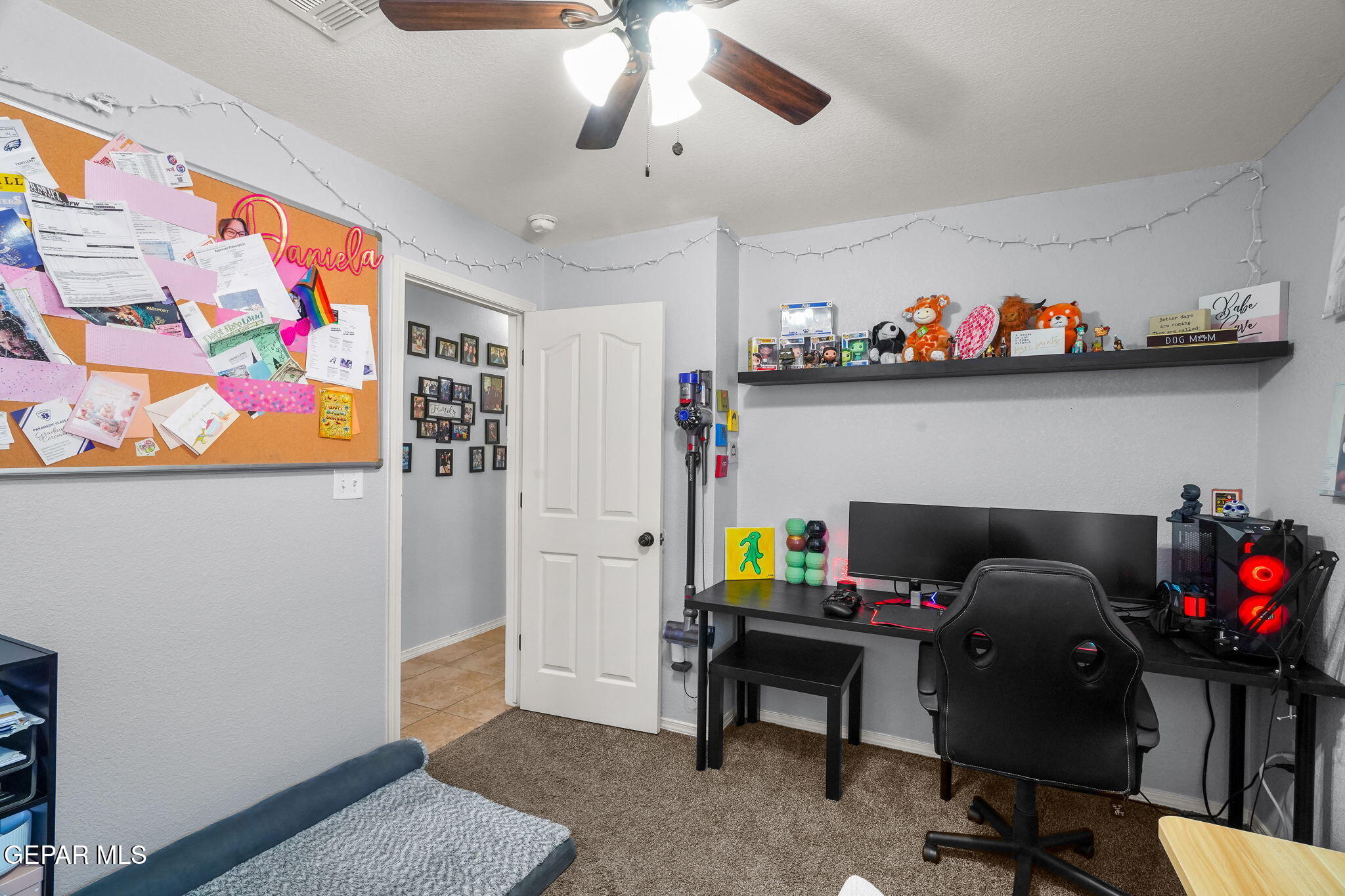 14195 RANIER POINT Drive