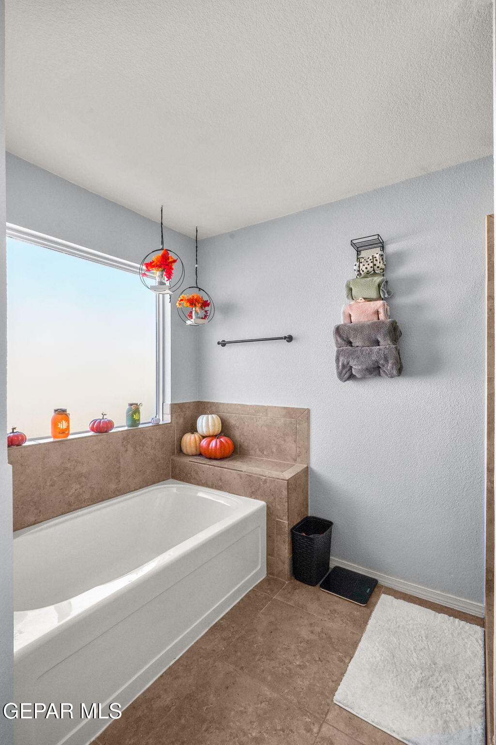 14195 RANIER POINT Drive