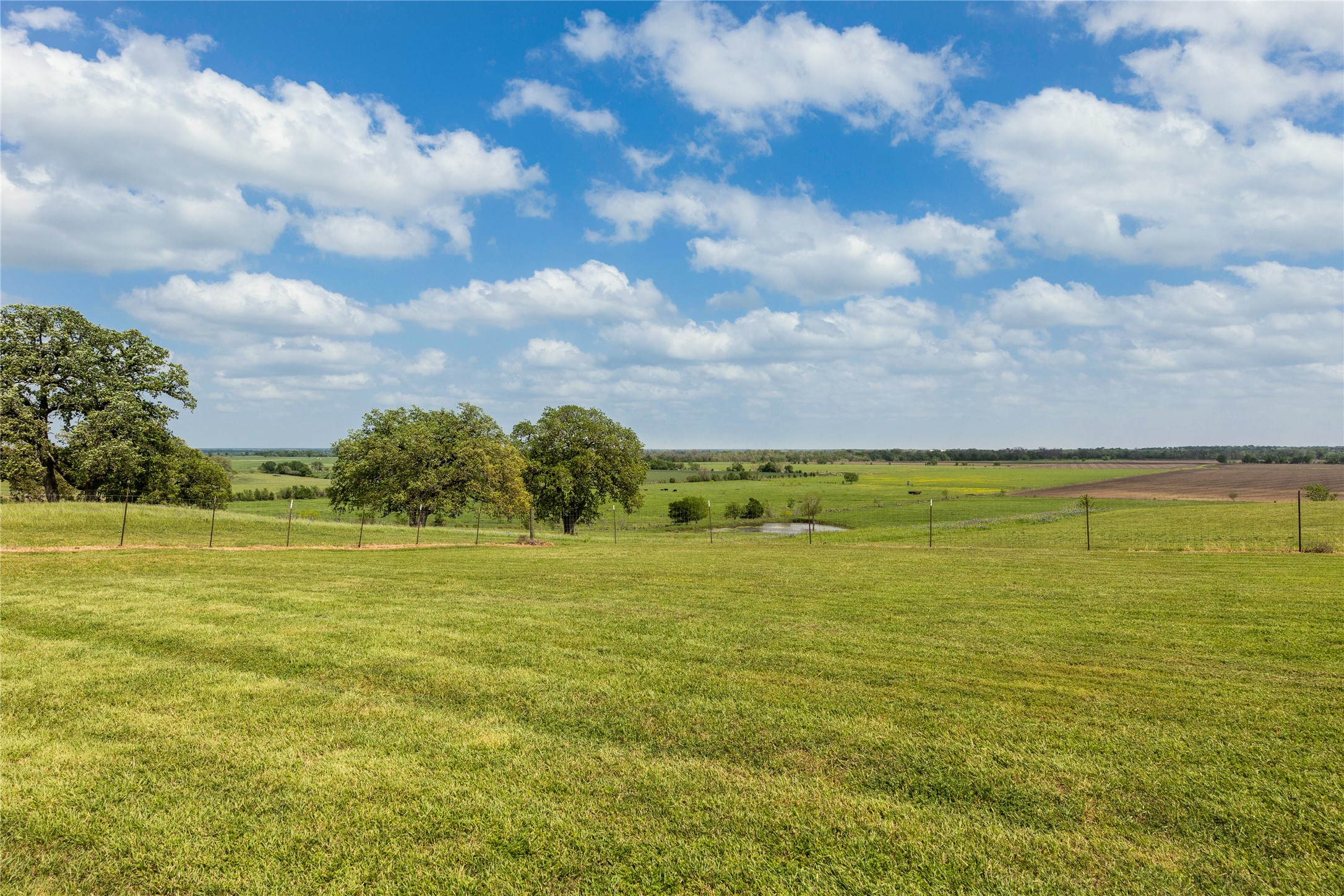 730 County Road 226A