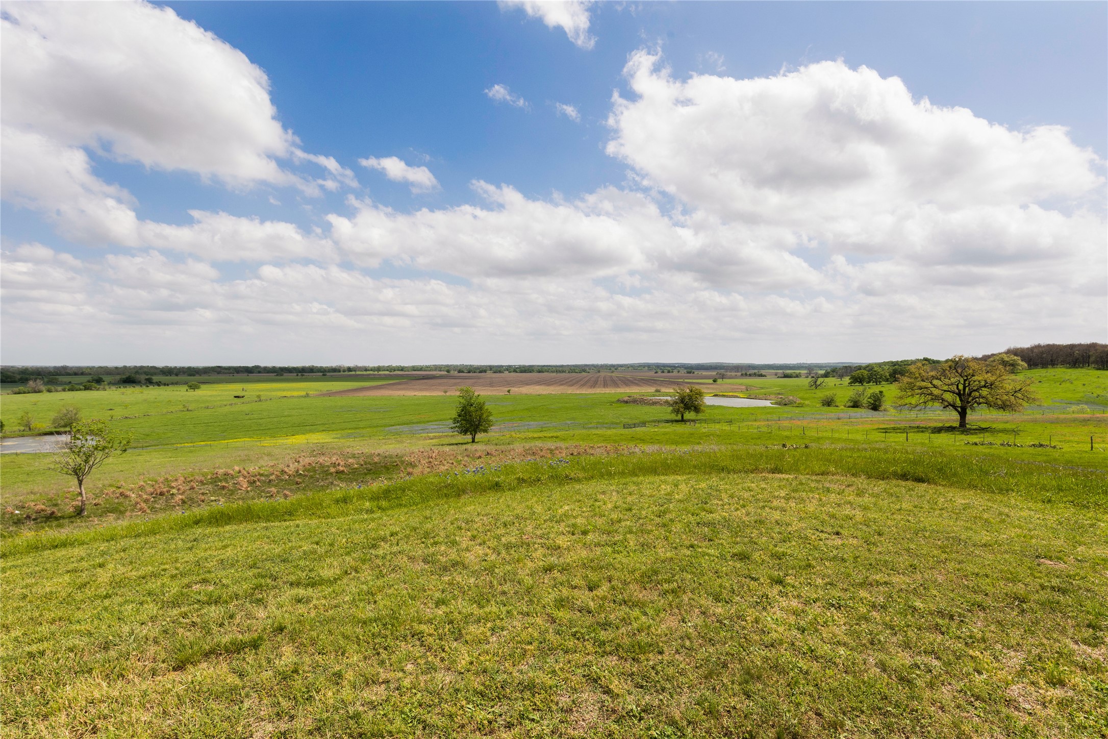 730 County Road 226A