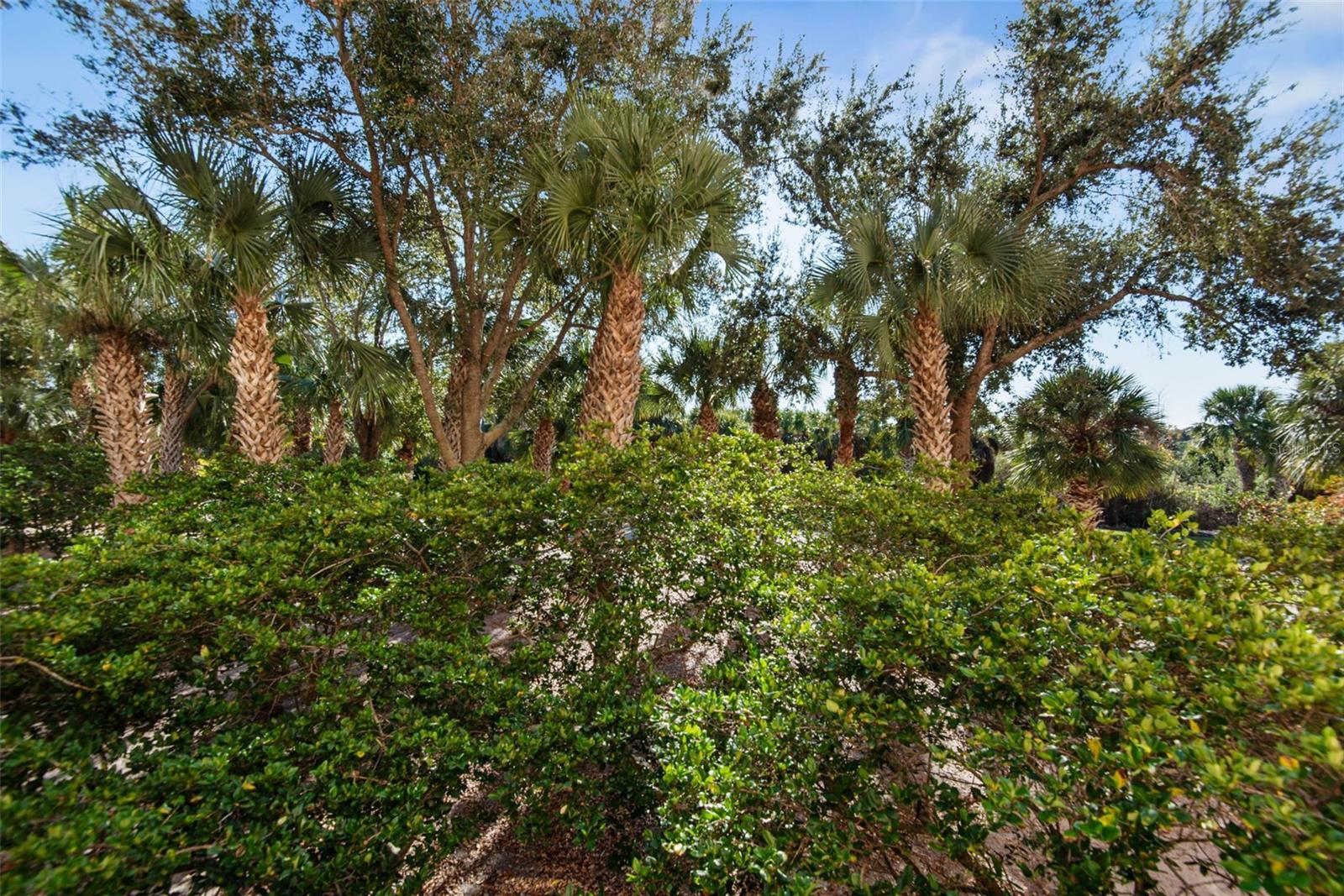 15 OCEAN CREST WAY #1314