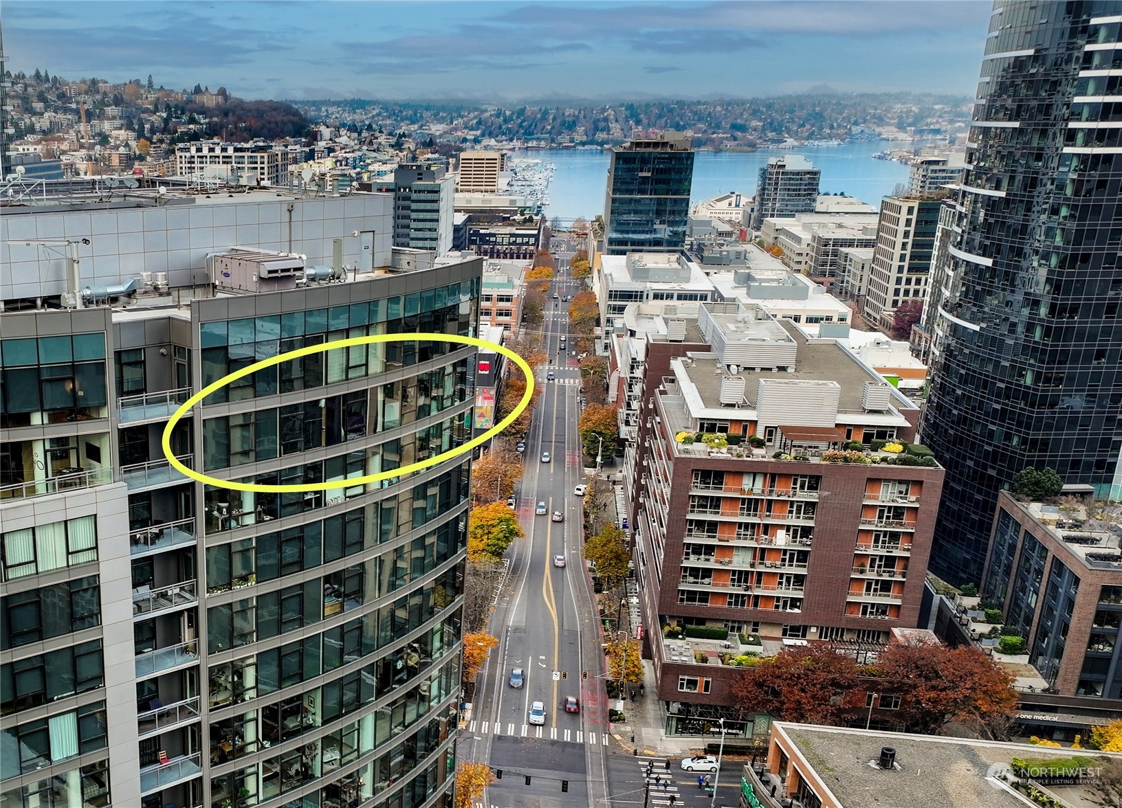 820 Blanchard Street Unit: 1805