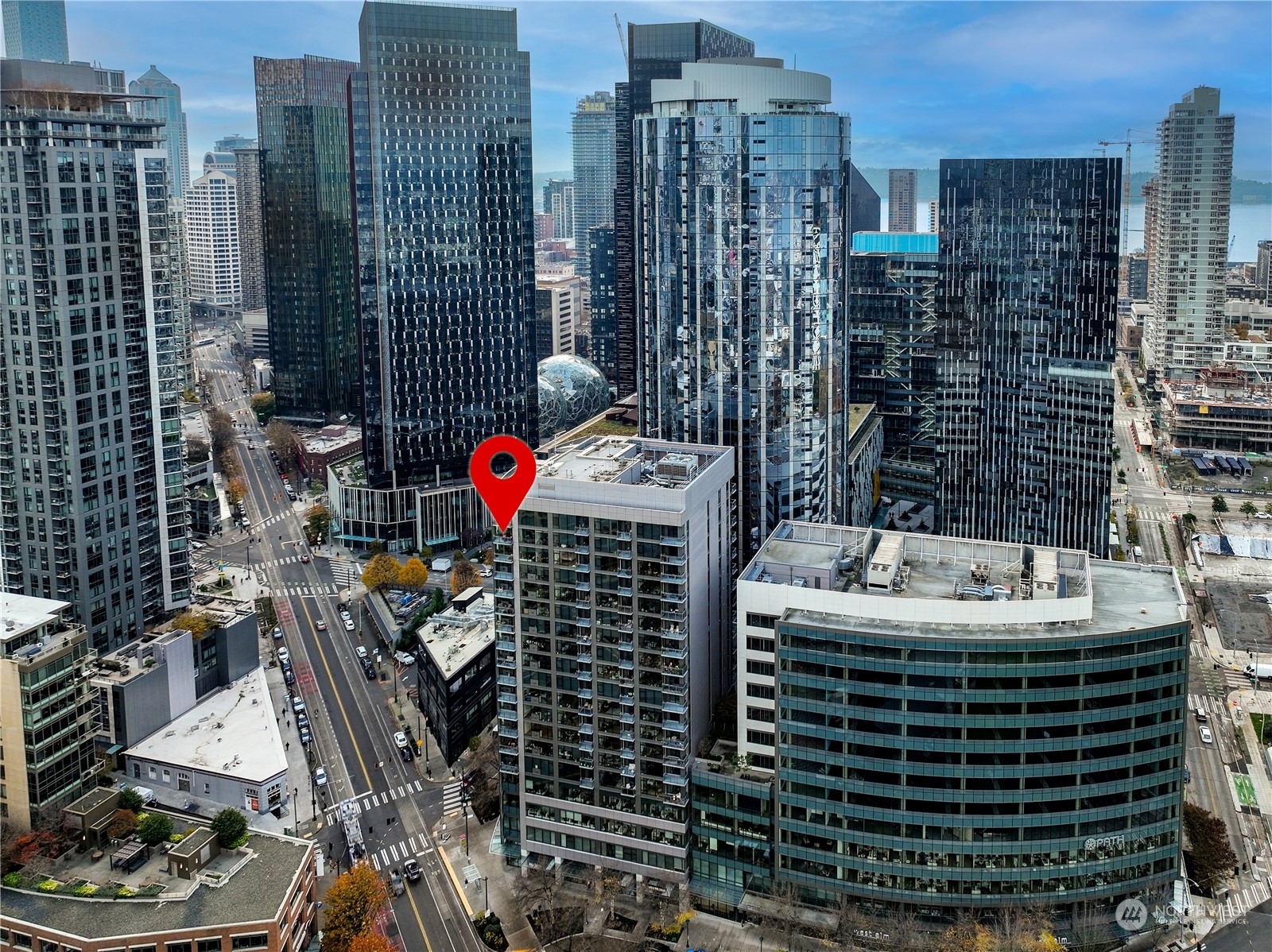 820 Blanchard Street Unit: 1805