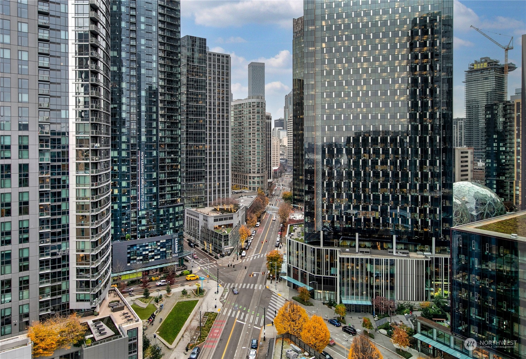 820 Blanchard Street Unit: 1805