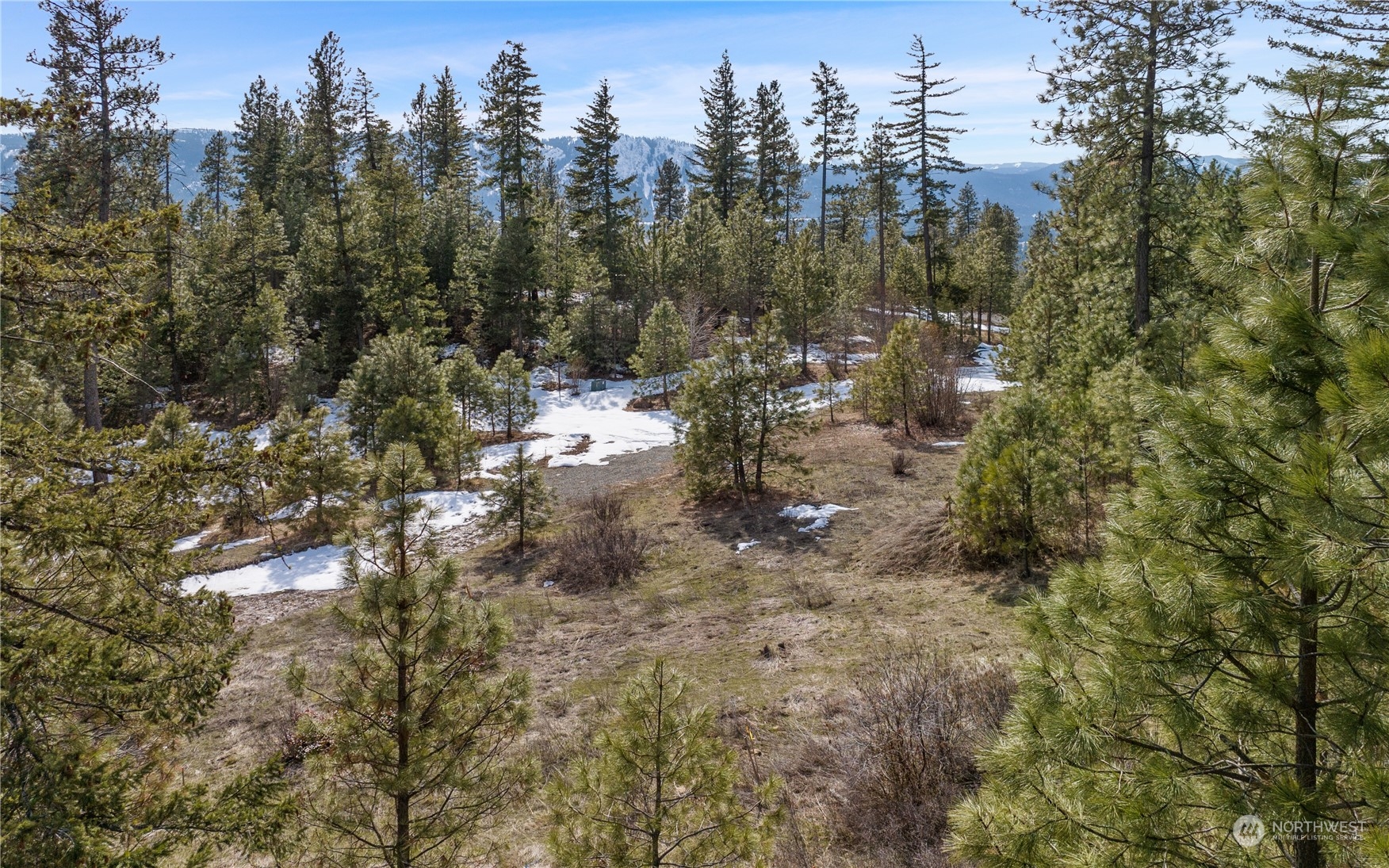 676 Forest Ridge Drive