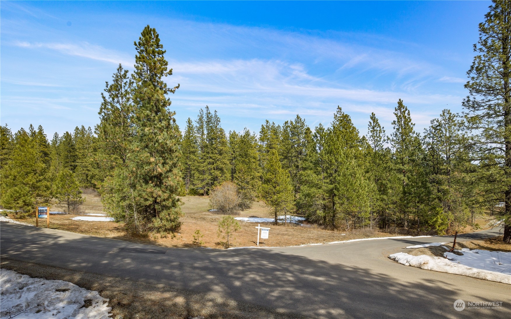 676 Forest Ridge Drive