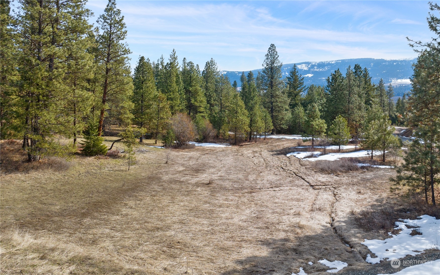 676 Forest Ridge Drive