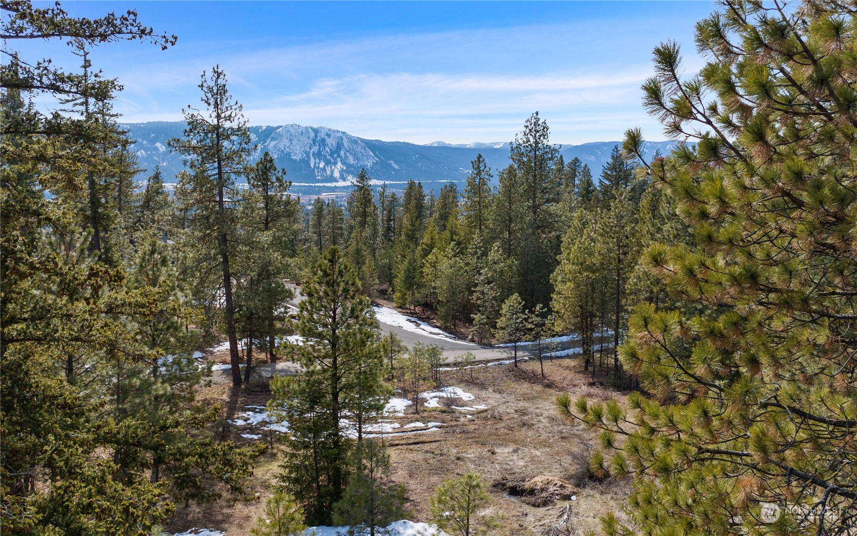 676 Forest Ridge Drive