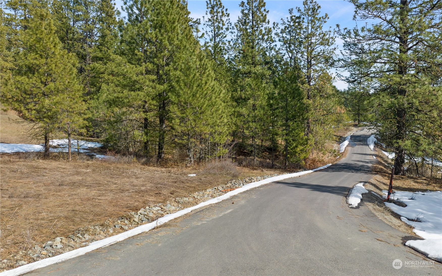 676 Forest Ridge Drive