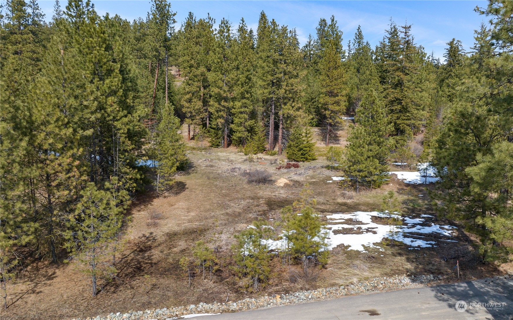 676 Forest Ridge Drive