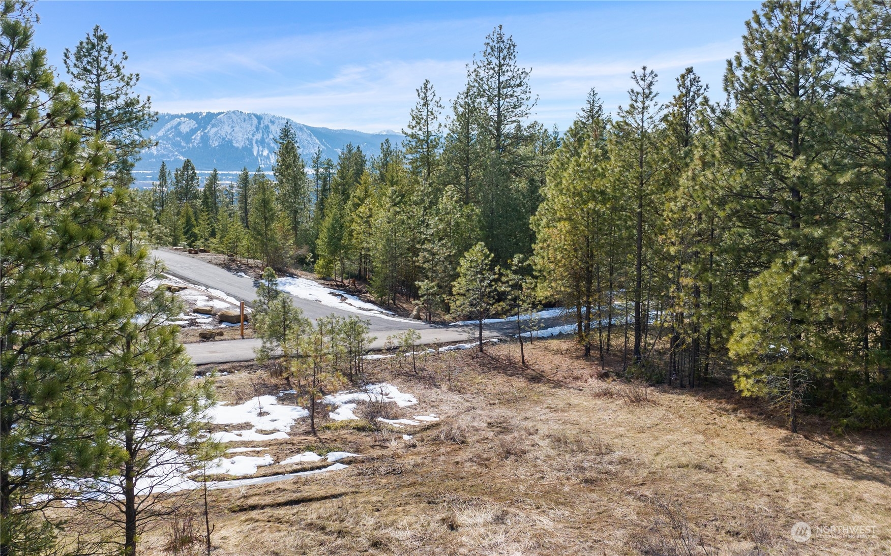 676 Forest Ridge Drive