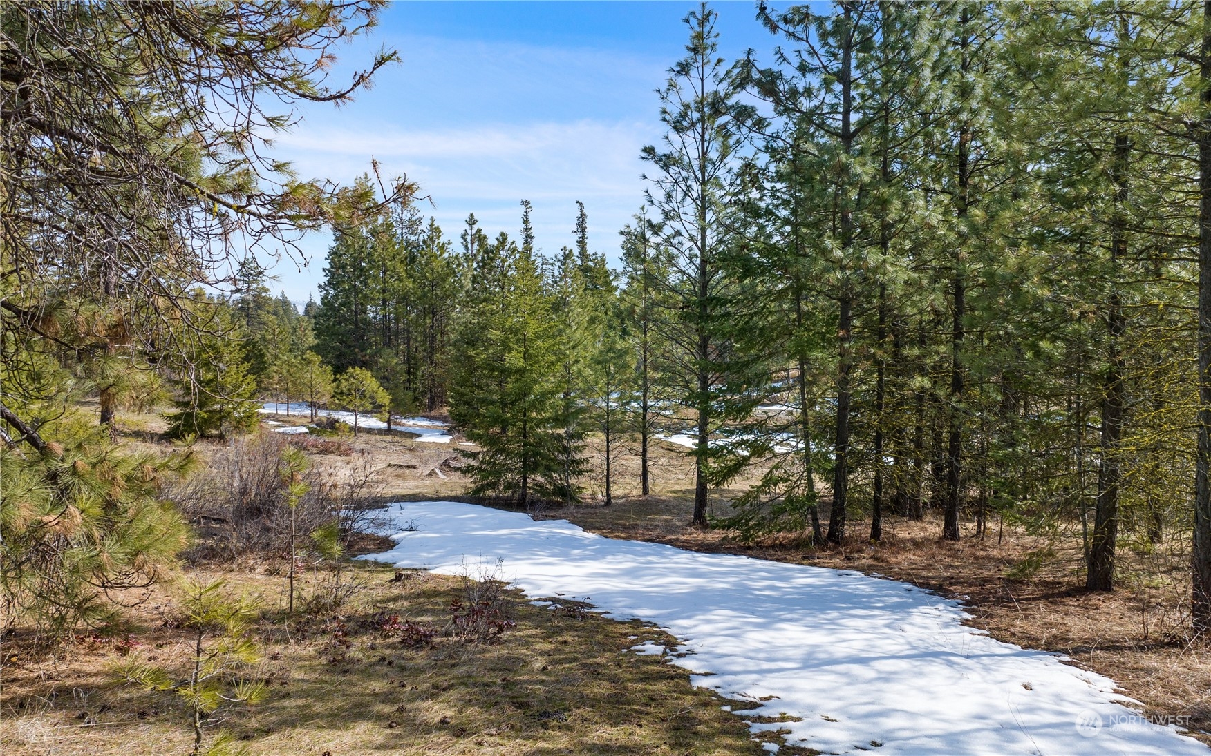 676 Forest Ridge Drive