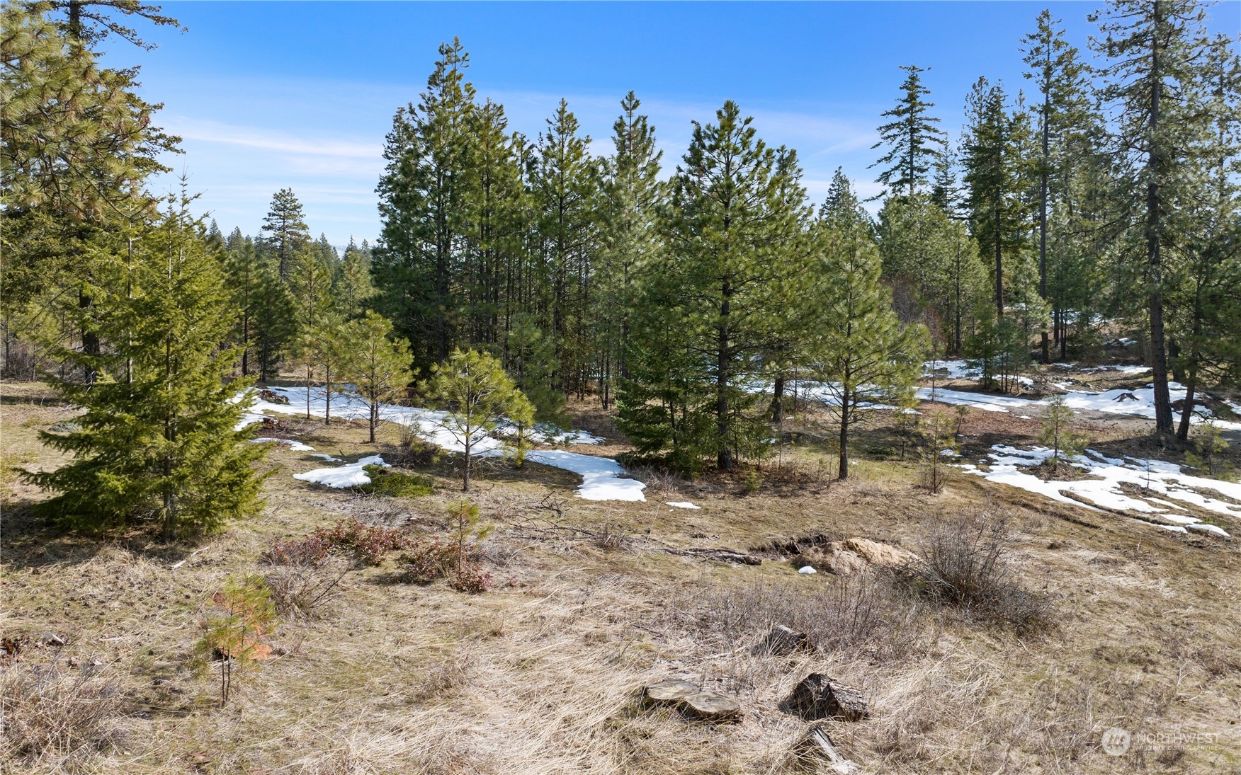 676 Forest Ridge Drive