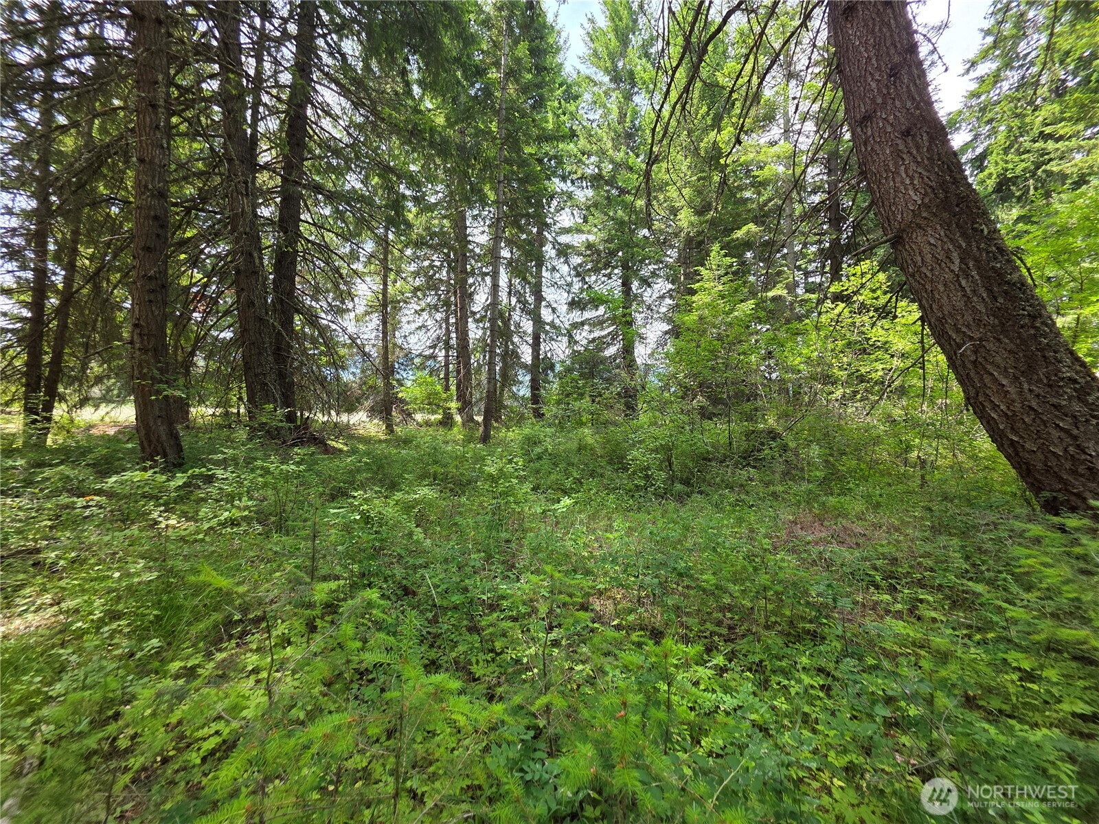 0 NVLot 5 Nelson View Way