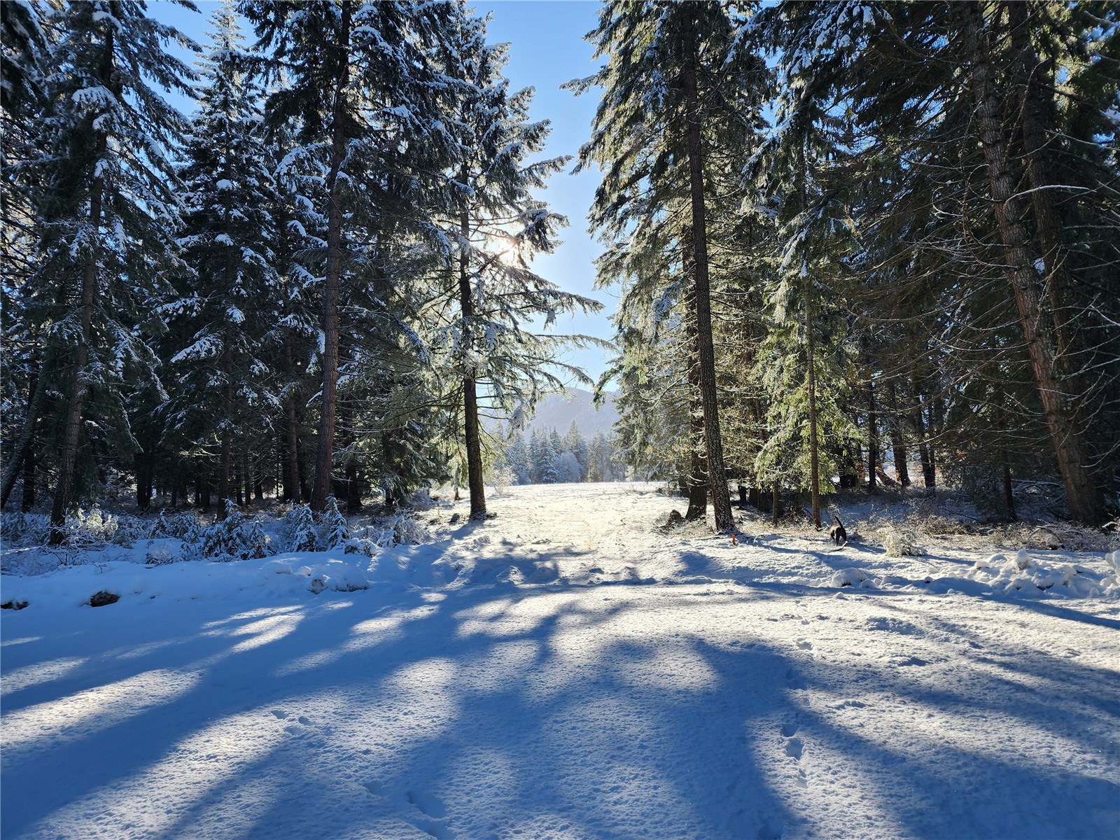 0 NVLot 5 Nelson View Way